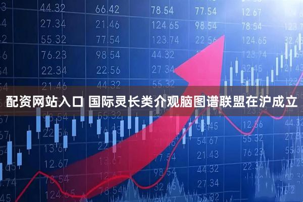 配资网站入口 国际灵长类介观脑图谱联盟在沪成立